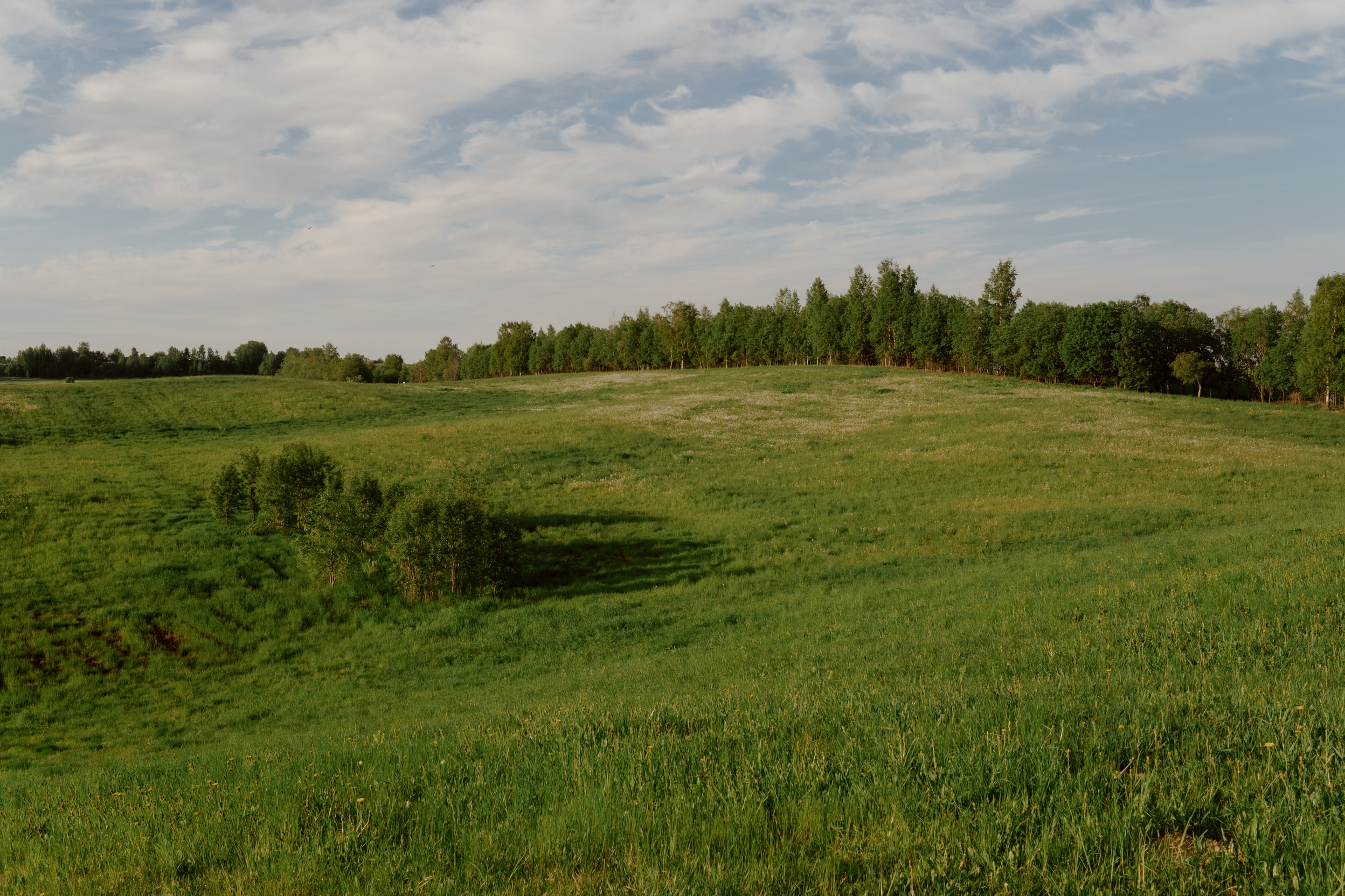 Empty Grass Hill